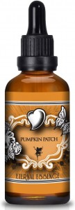 Crazy And Amazing Pumpkin Spice Things!