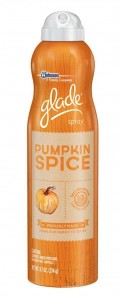 Crazy And Amazing Pumpkin Spice Things!