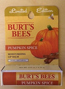 Crazy And Amazing Pumpkin Spice Things!