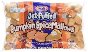 Crazy And Amazing Pumpkin Spice Things!