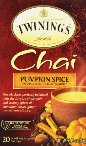 Crazy And Amazing Pumpkin Spice Things!