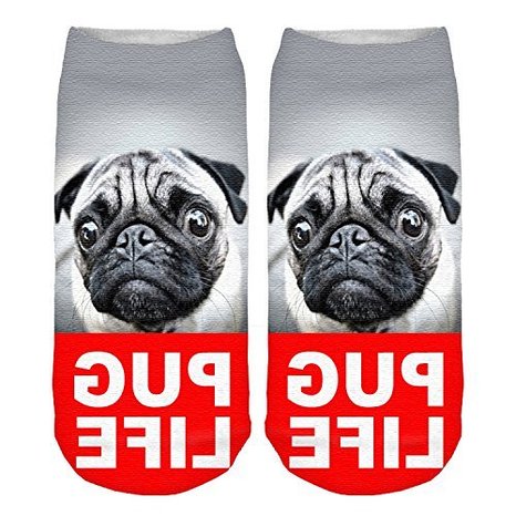 Crazy And Amazing Pug Lovers Gifts