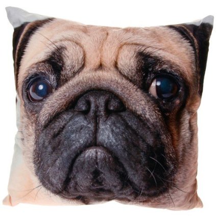 Crazy And Amazing Pug Lovers Gifts